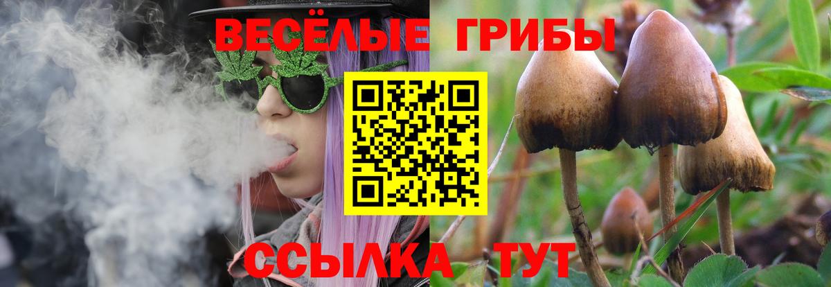 Галлюциногенные грибы мицелий  дарнет шоп  Вышний Волочёк  Псилоцибиновые грибы ЛСД  Вход с VPN 
