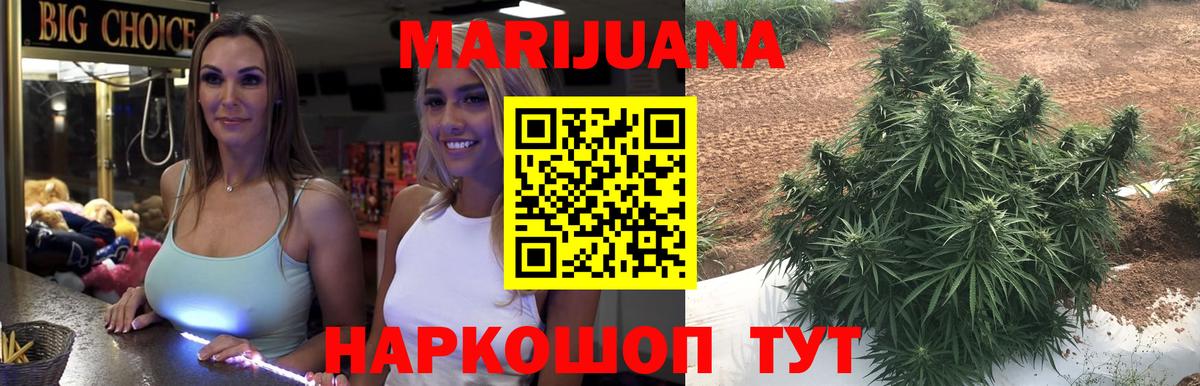 Вышний Волочёк  Канабис сатива  Каннабис планчик  Вход с VPN  Бошки Шишки OG Kush 
